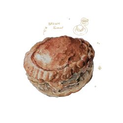 Rule 34 | bread, food, food focus, highres, kohaku392, no humans, original, pastry, scone, still life, white background