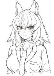 Rule 34 | 1girl, animal ear fluff, animal ears, annoyed, blush, breast pocket, breasts, closed mouth, grey wolf (kemono friends), greyscale, highres, kemono friends, kimurayou103, large breasts, long hair, looking at viewer, monochrome, necktie, pocket, sketch, solo, wolf ears, wolf girl