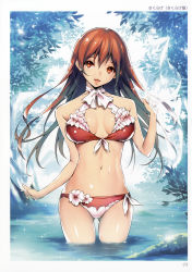 Rule 34 | 1girl, absurdres, bare shoulders, bikini, breasts, brown eyes, brown hair, day, frills, front-tie bikini top, front-tie top, highres, kikurage (plastic people), long hair, looking at viewer, medium breasts, navel, open mouth, original, outdoors, partially submerged, scan, side ponytail, smile, solo, swimsuit, toranoana, water