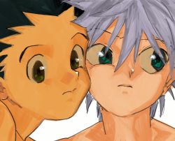 Rule 34 | 2boys, black hair, blue eyes, cheek-to-cheek, closed mouth, gon freecss, green eyes, hair between eyes, heads together, highres, hunter x hunter, killua zoldyck, looking to the side, male focus, multiple boys, portrait, silver hair, simple background, toripippi 7, white background