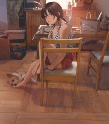 Rule 34 | 1girl, alcohol, book, bottle, box, brown eyes, brown hair, cabinet, cactus, day, dog, glass bottle, indoors, knee up, looking at viewer, morifumi, on chair, original, plant, plate, ponytail, potted plant, shorts, smile, spray bottle, table, tank top, tissue, tissue box, vodka, welsh corgi, window
