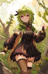 Rule 34 | 1girl, ahoge, artist name, black dress, branch, brown thighhighs, collei (genshin impact), commentary, cowboy shot, detached sleeves, dress, earrings, facing viewer, genshin impact, green hair, grin, hair ornament, hand up, highres, jewelry, long sleeves, medium hair, mirlo2hu, puffy long sleeves, puffy sleeves, purple eyes, single earring, smile, solo, teeth, thighhighs, thighlet, tree, zettai ryouiki