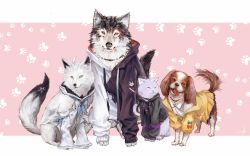 Rule 34 | ahoge, animal, animal focus, animalization, black collar, black hoodie, blue neckerchief, bone hair ornament, cat, clothed animal, collar, dog, drawstring, fox, full body, hair ornament, highres, hololive, hololive gamers, hood, hoodie, hyde (tabakko), inugami korone, inugami korone (1st costume), inugami korone (dog), jacket, long sleeves, looking at viewer, neckerchief, nekomata okayu, nekomata okayu (1st costume), ookami mio, ookami mio (casual), paw print, paw print background, pink background, red collar, shirakami fubuki, shirt, signature, tongue, tongue out, two-tone hoodie, virtual youtuber, white background, white hoodie, white shirt, wolf, yellow jacket