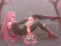 Rule 34 | 1girl, black dress, black footwear, black thighhighs, blindfold, boots, breasts, cherry blossoms, collar, dress, facial mark, fate/stay night, fate (series), forehead mark, full body, highres, long hair, medusa (fate), medusa (rider) (fate), mizu (dl7613), purple hair, putting on shoes, sitting on water, solo, thigh boots, thighhighs, thighhighs pull, water, zettai ryouiki
