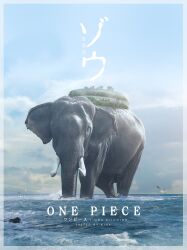 Rule 34 | animal, artist name, character name, cloud, cloudy sky, elephant, english text, highres, island, k164, ocean, one piece, outdoors, realistic, sky, solo, standing, water, zunesha