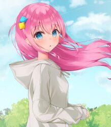 Rule 34 | 1girl, absurdres, alternate costume, blue eyes, bocchi the rock!, bush, cube hair ornament, gotoh hitori, grey hoodie, hair flowing over, hair ornament, highres, hood, hoodie, lacca (lalalacca), looking at viewer, outdoors, pink hair, sky, solo, torso