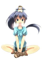 Rule 34 | 1girl, :d, animal, animal on head, black hair, blue eyes, bow, bowtie, cosplay, earrings, fang, ganaha hibiki, gangnam style, hamster, hamuzou, hoop earrings, idolmaster, idolmaster (classic), indian style, jewelry, long hair, looking at viewer, mushiboy, on head, open mouth, ponytail, psy, psy (cosplay), sandals, shorts, sitting, smile, solo, toeless footwear, v arms, white background