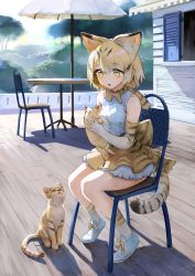 Rule 34 | 10s, 1girl, animal, animal ears, bare shoulders, blonde hair, bow, bowtie, cat, cat ears, cat tail, chair, day, elbow gloves, footwear ribbon, full body, gloves, highres, holding, holding animal, horizontal-striped legwear, kemono friends, morning, open mouth, outdoors, sand cat (kemono friends), shirt, shoes, short hair, sitting, skirt, sleeveless, solo, striped clothes, striped gloves, striped legwear, striped skirt, striped tail, table, tail, treeware, umbrella, white footwear, wooden floor, yellow bow, yellow eyes