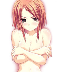 Rule 34 | &gt;:(, 1girl, ayase hikaru, blush, breasts, cleavage, collarbone, covering privates, covering breasts, crossed arms, frown, looking at viewer, navel, nude, original, short hair, solo, stomach, upper body, v-shaped eyebrows