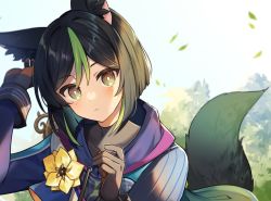 Rule 34 | 1boy, animal ear fluff, animal ears, black hair, blush, closed mouth, commentary, day, flower, fox boy, fox ears, fox tail, genshin impact, gloves, green eyes, green hair, highres, leaf, long sleeves, looking at viewer, male focus, medal, multicolored hair, outdoors, shirase (shirose), solo, streaked hair, symbol-only commentary, tail, tighnari (genshin impact), upper body, yellow flower