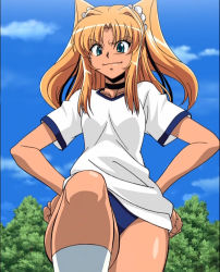 Rule 34 | 1girl, bare legs, blonde hair, blue buruma, blue sky, breasts, buruma, bush, curvy, dark skin, fingernails, futaba lili ramses, green eyes, gym uniform, hair ribbon, hands on own hips, highres, lilith-soft, lips, looking down, ribbon, screencap, shiny skin, sky, small breasts, smile, tentacle and witches, third-party edit, tsundere, twintails, wide hips