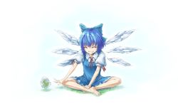 Rule 34 | 1girl, blue hair, bow, chiro (pixiv), chiro (suzuka98), cirno, frog, frozen, frozen frog, hair bow, ice, short hair, solo, embodiment of scarlet devil, touhou, wings