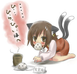 Rule 34 | 1girl, animal ears, blush, brown eyes, brown hair, cat ears, cat girl, cat tail, chen, dress, earrings, female focus, food, jewelry, kiji (manekinuko-tei), mouth hold, multiple tails, short hair, solo, sweatdrop, tail, touhou, translated, white background