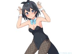 Rule 34 | 1girl, absurdres, arms up, bare arms, bare shoulders, bird tail, black hair, blue bow, blue bowtie, blue eyes, blush, bow, bowtie, breasts, detached collar, fishnets, hair between eyes, head wings, highres, kemono friends, leotard, medium breasts, pantyhose, playboy bunny, rabbit pose, rabbit tail, shiraha maru, short hair, simple background, solo, superb bird-of-paradise (kemono friends), tail, twitter username, white background, wings, wrist cuffs