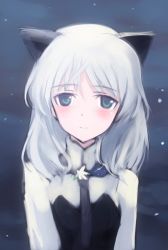 Rule 34 | 1girl, animal ears, blue eyes, cat ears, commentary, grey hair, necktie, aged up, sanya v. litvyak, shimada fumikane, snow, snowing, solo, strike witches, upper body, winter, world witches series