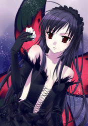 Rule 34 | 10s, 1girl, accel world, antenna hair, bare shoulders, black hair, blue hair, butterfly wings, elbow gloves, flower, gloves, hairband, insect wings, kuroyukihime, lolita hairband, navel, open mouth, red eyes, solo, takigawa yuu, wings