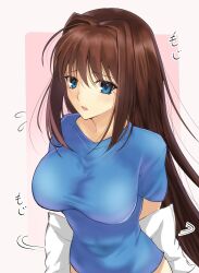 Rule 34 | 1girl, alternate costume, aozaki aoko, arms behind back, blue eyes, blue shirt, blush, breasts, brown hair, commentary request, flying sweatdrops, hair intakes, highres, holding, holding pillow, large breasts, long hair, looking at viewer, mahou tsukai no yoru, naked shirt, pillow, shirt, short sleeves, sidelocks, solo, t-shirt, toomishou, translation request, very long hair