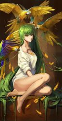 Rule 34 | 1girl, ana bi, bare legs, bare shoulders, barefoot, bird, bottomless, c.c., code geass, collarbone, feathers, feet, female focus, from side, full body, green hair, highres, legs, long hair, no pants, off shoulder, parrot, sitting, solo, thighs, toes, very long hair, yellow eyes