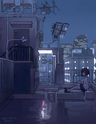 Rule 34 | 1girl, air conditioner, arm at side, black footwear, black skirt, brown eyes, brown hair, building, catzz, cityscape, collared shirt, commentary request, dated, door, english text, floodlights, from side, full body, looking at viewer, miniskirt, night, night sky, original, outdoors, pleated skirt, puddle, radio antenna, railing, reflection, reflective floor, rooftop, satellite dish, scenery, shirt, shoes, short hair, short sleeves, sidelocks, sitting, skirt, sky, solo, stairs, water tower, white shirt, wide shot