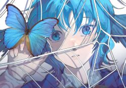 Rule 34 | 1girl, bird wings, blue butterfly, blue eyes, blue hair, blue theme, bug, butterfly, chinese commentary, close-up, colored eyelashes, commentary request, eeeee668, feathered wings, final fantasy, final fantasy xiv, hand up, head wings, highres, insect, looking at viewer, meteion, parted lips, portrait, short hair, silk, simple background, solo, spider web, white background, wings