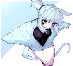 Rule 34 | 1girl, animal ears, black eyes, blue hair, blush, borrowed character, breasts, cat ears, cat girl, cat tail, closed mouth, eyelashes, facial mark, gift art, hemuling, highres, jacket, light blue hair, long sleeves, looking at viewer, medium breasts, medium hair, original, ponytail, sidelocks, simple background, solo, tail, thick eyebrows, two-tone background, whisker markings