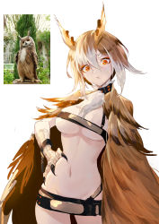 Rule 34 | 1girl, belt, belt bra, belt skirt, bird, breasts, brown hair, cape, contrapposto, cowboy shot, feathers, gradient hair, hair between eyes, hand on own hip, head tilt, highres, huang (volt0526), large breasts, looking at viewer, multicolored hair, navel, orange eyes, original, owl, personification, photo-referenced, real life, simple background, skindentation, solo, stomach, talons, white background, white hair