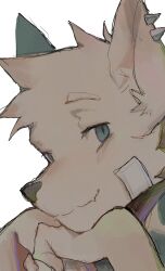 Rule 34 | 1boy, bandage on face, bandages, blue eyes, close-up, fang, from side, furry, furry male, hand on own chin, highres, itooku, looking at viewer, original, skin fang, smug, spike piercing, spikes, white fur, wolf boy