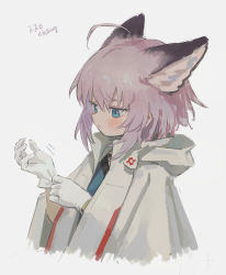 Rule 34 | 1girl, adjusting clothes, adjusting gloves, ahoge, animal ear fluff, animal ears, arknights, blue eyes, blue shirt, blush, bolero (bo le ro66), closed mouth, cropped torso, eyebrows hidden by hair, fox ears, gloves, grey background, hair between eyes, hands up, highres, hood, hood down, hooded jacket, jacket, looking away, pink hair, shirt, simple background, solo, sussurro (arknights), upper body, white gloves, white jacket