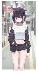 Rule 34 | 1girl, animal ears, black choker, black hair, black jacket, black shorts, blue archive, blush, breasts, cat ears, choker, closed mouth, collarbone, colored inner hair, commission, extra ears, feet out of frame, hair ornament, hairclip, halo, highres, jacket, kazusa (blue archive), kurone (kurone ryuo), long sleeves, medium breasts, multicolored hair, navel, open clothes, open jacket, pink hair, pink halo, red eyes, shirt, short hair, shorts, solo, twitter username, white shirt