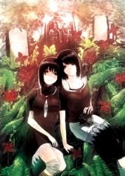 Rule 34 | 2girls, amakura mayu, amakura mio, bandages, black hair, blush, brown eyes, camera, dress, fatal frame, fatal frame 2, fern, gauss &lt;bokashi, gauss &lt;counting on more blur, lace, lace-trimmed shirt, lace trim, looking at another, moss, multiple girls, pinwheel, plant, shirt, short hair, short sleeves, siblings, sisters, sitting, skirt, smile, tecmo, twins