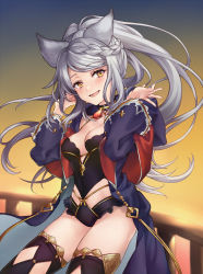 Rule 34 | 1girl, animal ears, black thighhighs, braid, braided bangs, breasts, cleavage, erune, fraux, granblue fantasy, highres, long hair, long sleeves, looking at viewer, medium breasts, open clothes, open mouth, open robe, ponytail, robe, shiao, silver hair, smile, solo, thighhighs, thighs, yellow eyes
