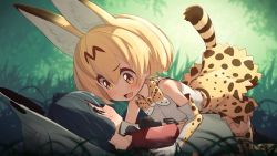 Rule 34 | 10s, 2girls, :d, all fours, animal ears, bare shoulders, black eyes, black gloves, black hair, blonde hair, blush, bow, bowtie, closed mouth, elbow gloves, eye contact, girl on top, gloves, grass, hat, highres, kaban (kemono friends), kemono friends, looking at another, lying, multiple girls, on back, open mouth, pantyhose, red shirt, serval (kemono friends), serval print, serval tail, shirt, short hair, short sleeves, sleeveless, smile, sweat, tail, thighhighs, yamadori seika, yellow eyes, yuri