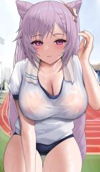 Rule 34 | 1girl, absurdres, black buruma, blush, braid, breasts, buruma, cleavage, collarbone, commentary request, cone hair bun, day, genshin impact, gym shirt, hair bun, highres, hyouuma, keqing (genshin impact), large breasts, long hair, looking at viewer, no bra, outdoors, parted lips, purple eyes, purple hair, see-through, shirt, short sleeves, solo, thigh gap, towel, towel around neck, track and field