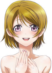 Rule 34 | 10s, 1girl, :d, blush, brown hair, completely nude, hands on own chest, koizumi hanayo, love live!, love live! school idol project, nanno koto, nude, open mouth, purple eyes, short hair, smile, solo, swept bangs, upper body