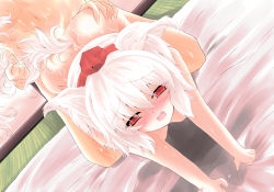 Rule 34 | 1girl, all fours, animal ears, bed sheet, blush, breasts, doggystyle, hat, holding another&#039;s tail, inubashiri momiji, md5 mismatch, medium breasts, nude, red eyes, saliva, sex, sex from behind, sheet grab, shirosuzu, short hair, solo focus, sweat, tail, tail grab, thighs, tokin hat, touhou, white hair, wolf ears, wolf tail