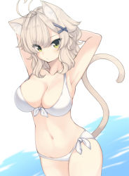 Rule 34 | 1girl, animal ears, antenna hair, arm up, armpits, arms behind head, bare shoulders, bikini, blush, breasts, cat ears, cat girl, cat tail, cleavage, closed mouth, collarbone, commentary request, cowboy shot, front-tie bikini top, front-tie top, green eyes, groin, hair between eyes, hair ornament, hairclip, large breasts, light brown hair, looking at viewer, natsuki teru, navel, nekomiya ryuu, original, side-tie bikini bottom, solo, standing, swimsuit, tail, tail raised, water, white background, white bikini