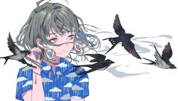 Rule 34 | 1girl, absurdres, animal, barn swallow, bird, blue nails, blue shirt, buchi (qooo003), cloud print, collared shirt, commentary request, earrings, floating hair, grey eyes, grey hair, hand up, highres, jewelry, looking away, looking to the side, nail polish, original, print shirt, shirt, short sleeves, solo, spring (season), upper body, white background