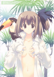 Rule 34 | 1girl, animal, animal on shoulder, bird, bird on shoulder, blue eyes, breasts, brown eyes, brown hair, female focus, hair ribbon, highres, navel, no bra, open clothes, open shirt, ribbon, shirt, side ponytail, sleeves past wrists, solo, toucan, white shirt