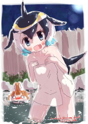 Rule 34 | animal ears, bamboo fence, bath, bathing, black hair, blonde hair, blowhole, blue eyes, blue hair, blush, brown hair, cetacean tail, collarbone, commentary, common dolphin (kemono friends), covering privates, dhole (kemono friends), dog ears, dog girl, dolphin girl, dorsal fin, fence, fins, fish tail, highres, holding, holding towel, kemono friends, kemono friends 3, looking at viewer, multicolored hair, multiple girls, nakashi masakumi, naked towel, nude cover, onsen, open mouth, partially submerged, rock, short hair, smile, steam, tail, towel, water, wet, wet towel, white hair, white towel