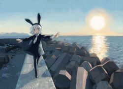 Rule 34 | 1girl, animal ears, balancing, black dress, black pantyhose, bright pupils, collared dress, commentary, dress, fake animal ears, grey hair, highres, hill, horizon, kezuru, ladder, long sleeves, looking at viewer, necktie, no sclera, ocean, open mouth, original, outdoors, outstretched arms, pantyhose, rabbit ears, rope, sky, smile, solo, spread arms, sun, tetrapod, water, white necktie, white pupils, wide sleeves