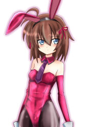 Rule 34 | 1girl, alternate costume, animal ears, bare shoulders, black pantyhose, blue eyes, blush, breasts, brown hair, closed mouth, collar, commentary request, elbow gloves, fake animal ears, gloves, hair ribbon, highleg, highleg leotard, highres, leotard, light frown, looking at viewer, lyrical nanoha, mahou shoujo lyrical nanoha innocent, necktie, pantyhose, playboy bunny, purple necktie, rabbit ears, red collar, red gloves, red leotard, ribbon, short hair, simple background, small breasts, solo, standing, stern the destructor, toone azuna, translation request, white background, wing collar