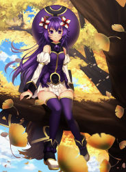 Rule 34 | 1girl, animal ears, bare shoulders, bow, detached sleeves, hair ornament, hat, highres, in tree, long hair, looking at viewer, matsuhime mujina, pinwheel, pleated skirt, purple eyes, purple thighhighs, raccoon ears, revision, seed, shinrabanshou, sitting, sitting in tree, skirt, solo, tail, tatsuyoshi, thighhighs, tree
