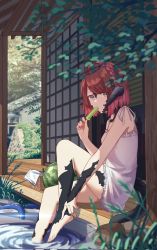Rule 34 | 1girl, architecture, au ra, warrior of light (ff14), barefoot, brown eyes, building, commentary, commission, dragon horns, dragon tail, dress, east asian architecture, english commentary, final fantasy, final fantasy xiv, food, fruit, highres, horns, jl tan, looking at viewer, popsicle, red hair, second-party source, short hair, sitting, solo, tail, water, watermelon