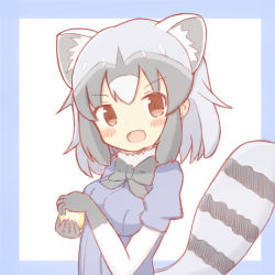 Rule 34 | 1girl, :d, animal ear fluff, animal ears, black bow, black gloves, black hair, blue background, blue shirt, blush, bow, breasts, commentary request, common raccoon (kemono friends), elbow gloves, fang, gloves, grey hair, hands up, highres, holding, japari symbol, kemono friends, looking at viewer, medium breasts, multicolored hair, open mouth, puffy short sleeves, puffy sleeves, raccoon ears, raccoon girl, raccoon tail, shirt, short sleeves, smile, solo, striped tail, sunanuko (ramuneko), tail, two-tone background, two-tone hair, upper body, white background, white gloves, white hair