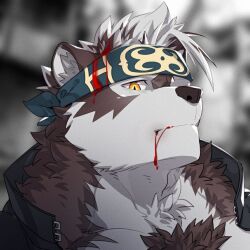 Rule 34 | 1boy, ainu clothes, animal ear fluff, animal ears, bara, blood, blood from mouth, blood on face, blurry, blurry background, commentary, english commentary, furry, furry male, gakuran, grey fur, grey hair, headband, horkeu kamui, letleo94950, looking at viewer, male focus, portrait, school uniform, short hair, slit pupils, solo, three quarter view, tokyo houkago summoners, two-tone fur, wolf boy, wolf ears, yellow eyes
