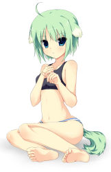 Rule 34 | 10s, 1girl, ahoge, animal ears, bad id, bad pixiv id, barefoot, blue eyes, dog days, dog ears, eclair martinozzi, feet, green hair, int, minato (terayan2411), navel, panties, short hair, simple background, soles, solo, striped clothes, striped panties, tail, toes, underwear, white background