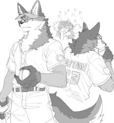 Rule 34 | 1boy, 1girl, animal ears, ball, baseball, baseball uniform, body fur, cheerleader, claws, closed mouth, cowboy shot, cup, fang, fang out, furry, furry male, furry with non-furry, greyscale, hand up, hetero, highres, holding, holding ball, holding cup, interspecies, large hands, looking at viewer, loving aura, monochrome, multiple views, original, pants, rata (norahasu), short sleeves, simple background, sportswear, standing, tail, visor cap, white background, wolf boy, wolf ears, wolf tail