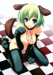 Rule 34 | 1girl, absurdres, animal ears, animal hands, blue eyes, blush, breasts, collar, dog ears, dog tail, elbow gloves, gloves, green hair, highres, kneeling, large breasts, leash, mouth hold, nipples, no bra, no panties, original, paw gloves, paw shoes, shoes, short hair, smile, solo, tail, thighhighs, tomose shunsaku