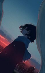 1girl banakotakemaru black_hair black_jacket blazer commentary_request dutch_angle film_grain from_side hand_in_pocket highres jacket looking_at_viewer medium_hair original scarf scenery sky skyline smile solo sunset white_scarf yellow_eyes