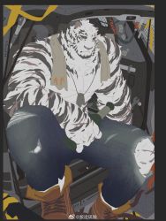 Rule 34 | 1boy, 6suan, abs, animal ears, arknights, bara, boots, bottle, car, denim, dog tags, feet out of frame, flat color, furry, furry male, highres, holding, holding bottle, jeans, large pectorals, looking at viewer, male focus, motor vehicle, mountain (arknights), muscular, muscular male, nipples, pants, pectorals, scar, scar across eye, scar on arm, scar on face, scar on leg, short hair, solo, stomach, thick thighs, thighs, tiger boy, tiger ears, topless male, torn clothes, torn pants, towel, towel around neck, white fur, white hair